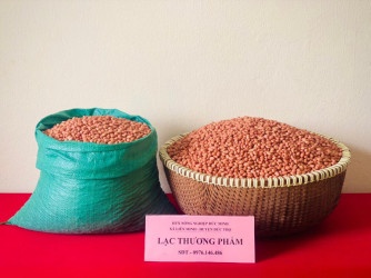 LẠC THƯƠNG PHẨM