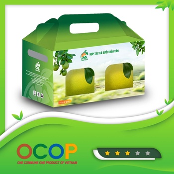 Bưởi Phúc Trạch Thảo Vân
