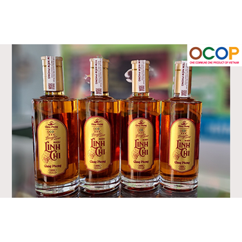 Rượu Linh Chi Giang Phong