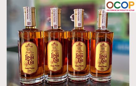 Rượu Linh Chi Giang Phong