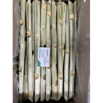 FRESH SUGARCANE STICKS IN VIETNAM