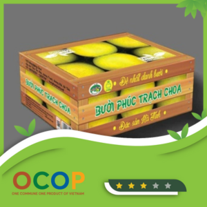 Bưởi Phúc Trạch Sinh Thái Choa Loại 1 – Thùng 6 Quả