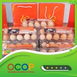 Trứng gà đồi Trại Cốc