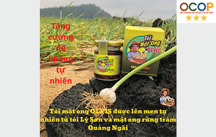 Tỏi lý sơn ngâm mật ong rừng Volcano