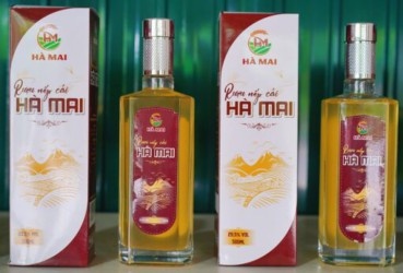 Rượu nếp cái Hà Mai