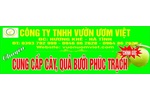 Công ty TNHH Vườn ươm Việt