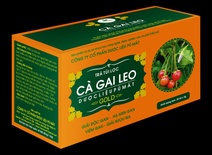 Cà gai leo