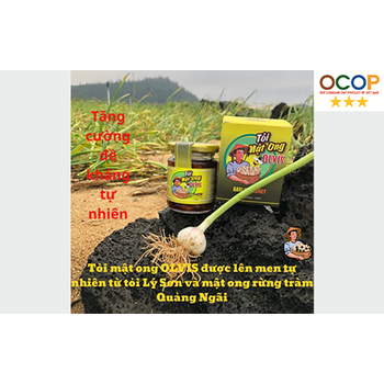 Tỏi lý sơn ngâm mật ong rừng Volcano