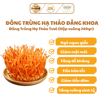  Đông Trùng Hạ Thảo tươi Đăng Khoa