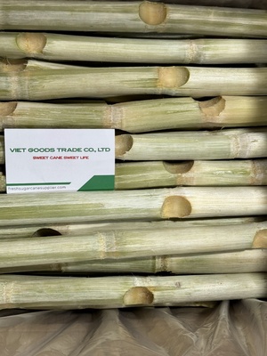 FRESH SUGARCANE STICKS IN VIETNAM