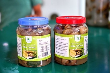 Dưa muối Nga Thông (hộp 700g)