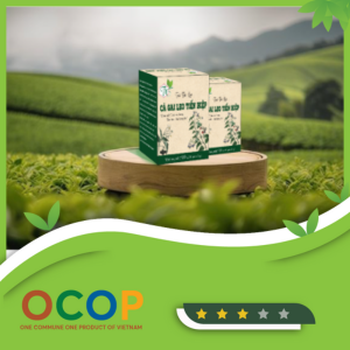 Trà Túi Lọc Cà Gai Leo Tiến Hiệp (1 hộp)