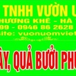 Công ty TNHH Vườn ươm Việt